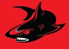 Black Shark Enterprises